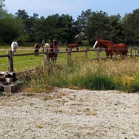 Le Gite De La Ferme بورتبايل المظهر الخارجي الصورة